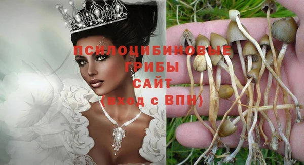 сатива Богородицк