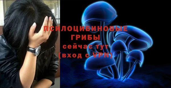 хмурый Белоозёрский